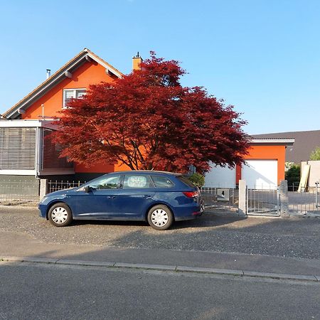 Sonnige Ferienwohnung Bei Familie Koehler Kappel-Grafenhausen Exteriér fotografie